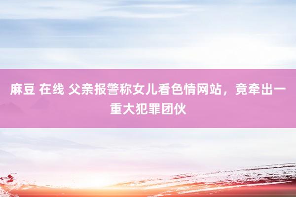 麻豆 在线 父亲报警称女儿看色情网站，竟牵出一重大犯罪团伙