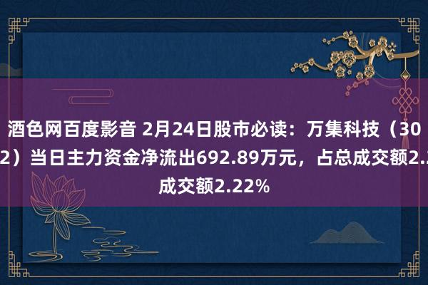 酒色网百度影音 2月24日股市必读：万集科技（300552）当日主力资金净流出692.89万元，占总成交额2.22%