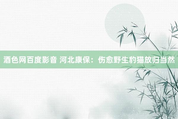 酒色网百度影音 河北康保：伤愈野生豹猫放归当然