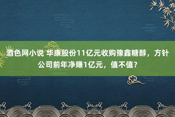 酒色网小说 华康股份11亿元收购豫鑫糖醇，方针公司前年净赚1亿元，值不值？