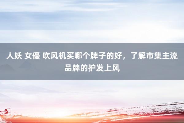 人妖 女優 吹风机买哪个牌子的好，了解市集主流品牌的护发上风