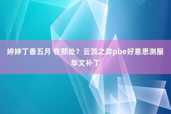 婷婷丁香五月 在那处？云顶之弈pbe好意思测服华文补丁