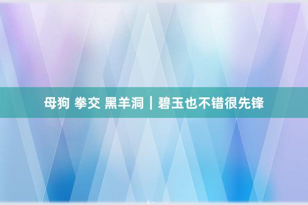 母狗 拳交 黑羊洞︱碧玉也不错很先锋