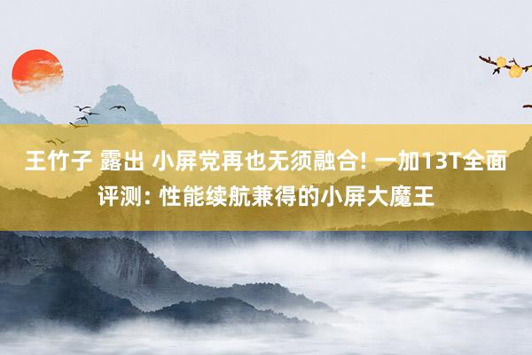 王竹子 露出 小屏党再也无须融合! 一加13T全面评测: 性能续航兼得的小屏大魔王