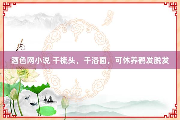 酒色网小说 干梳头，干浴面，可休养鹤发脱发