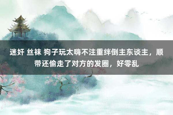 迷奸 丝袜 狗子玩太嗨不注重绊倒主东谈主，顺带还偷走了对方的发圈，好零乱